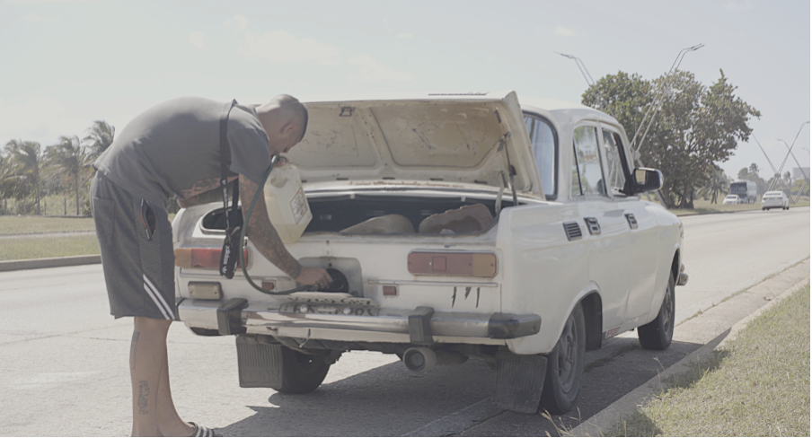 ArticleArchibald Fig 4